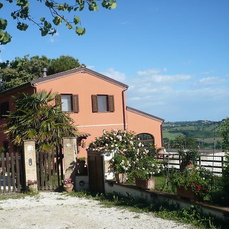 B&B Punto Magico Offagna Ngoại thất bức ảnh